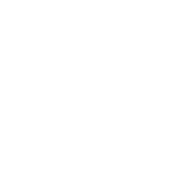 Destrucción y censura de libros en Chile (1973-1989)